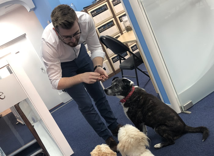Nathan Hodgson with dogs